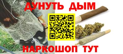 гашик Бийск