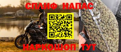 гашик Бийск