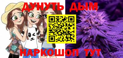 гашик Бийск