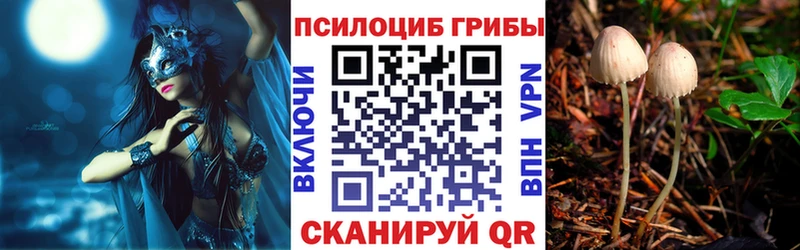 мориарти состав  Изобильный  Галлюциногенные грибы Magic Shrooms 