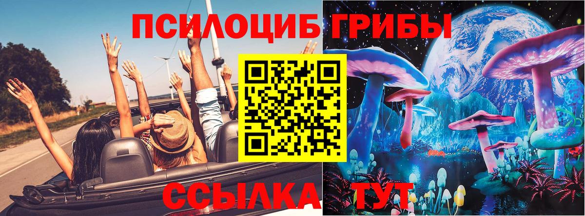Галлюциногенные грибы мухоморы  Изобильный  Псилоцибиновые грибы прущие грибы 