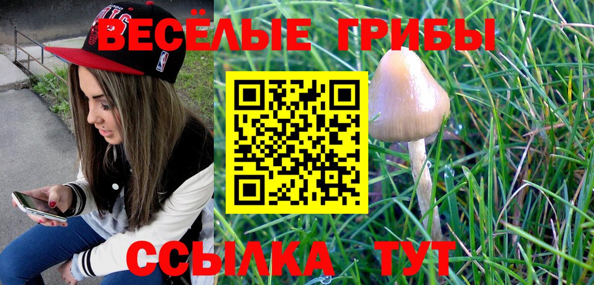 Псилоцибиновые грибы мухоморы  Псилоцибиновые грибы Psilocybe  Вход с VPN  Изобильный 